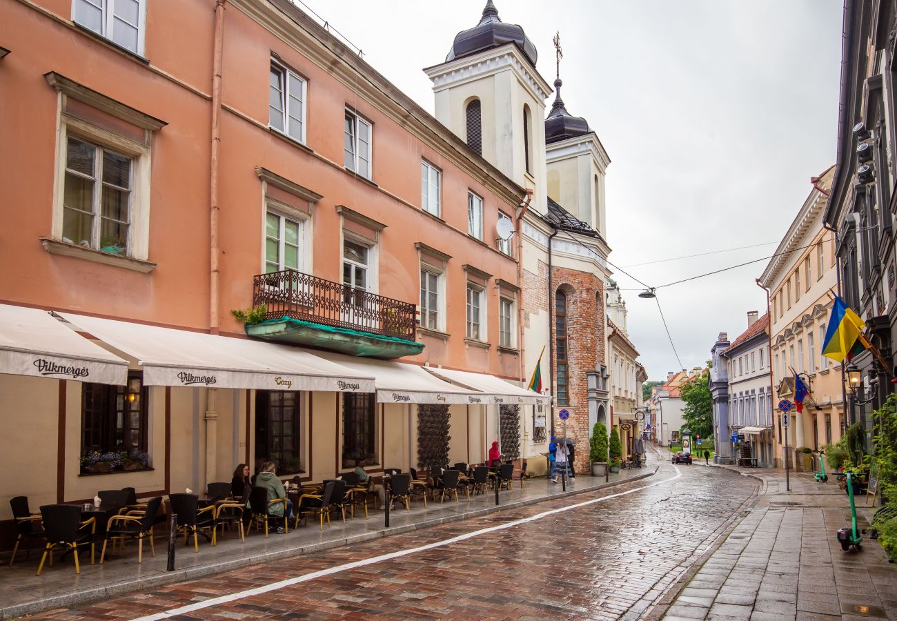 Apartament w Vilnius - Gediminas Towen View Apartment in Vilnius Old Town