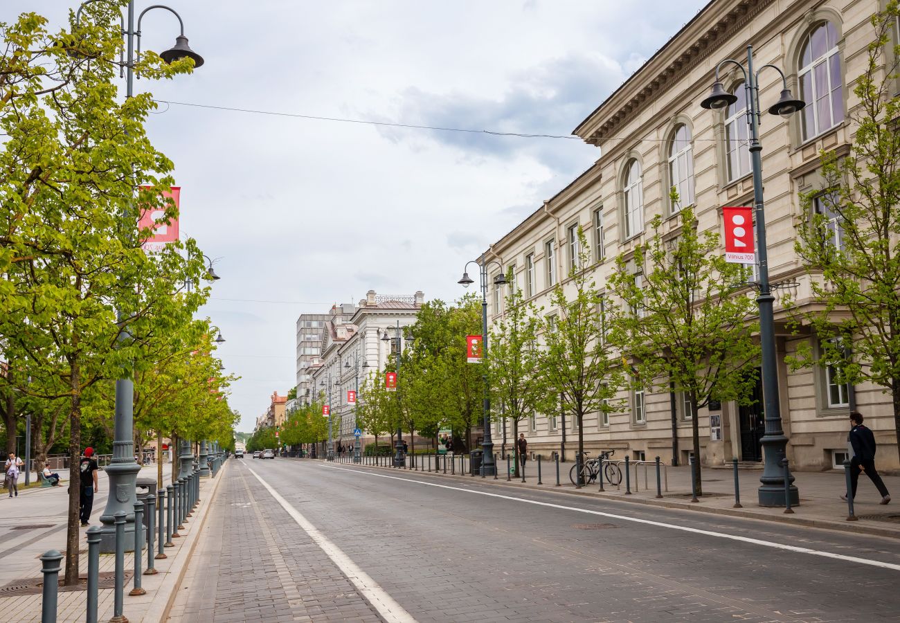 Apartament w Vilnius - Newly Refurbished Lukiskiu Square Apartment