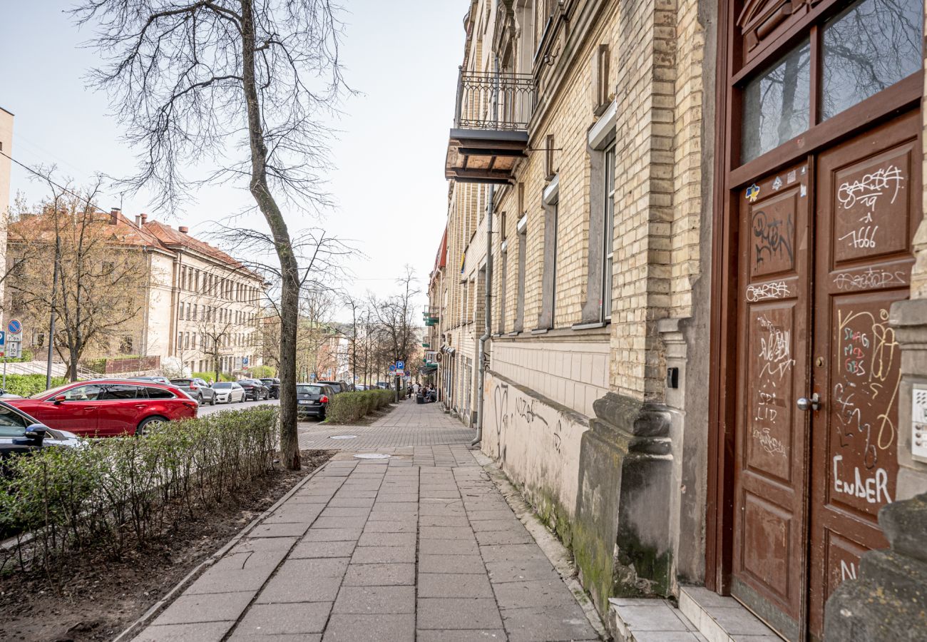 Apartament w Vilnius - Cosy Oasis In Vilnius Old Town 